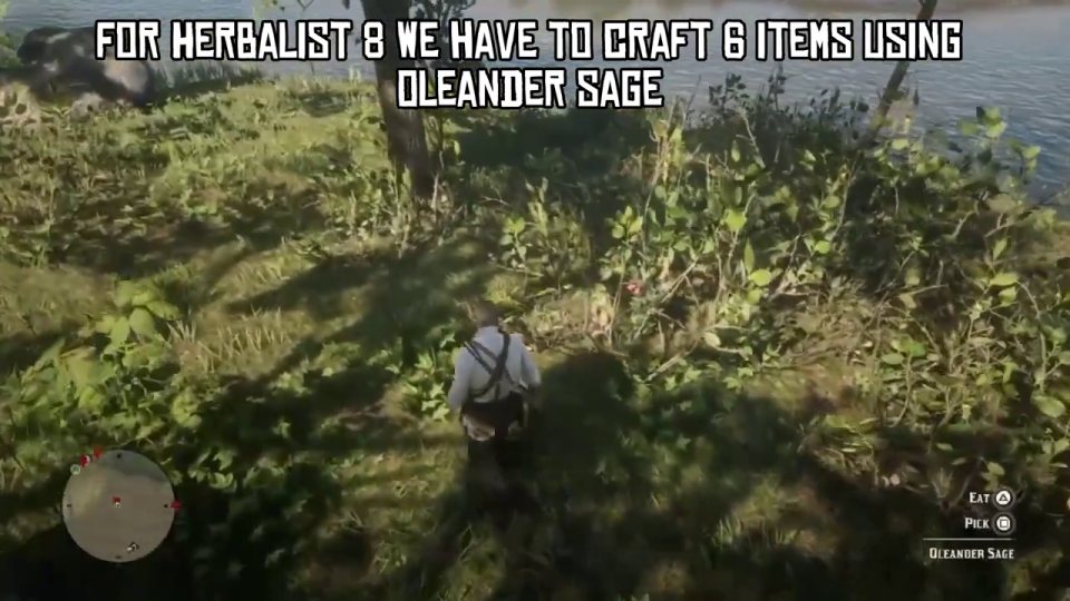 Herbalist 8: pick oleander sage