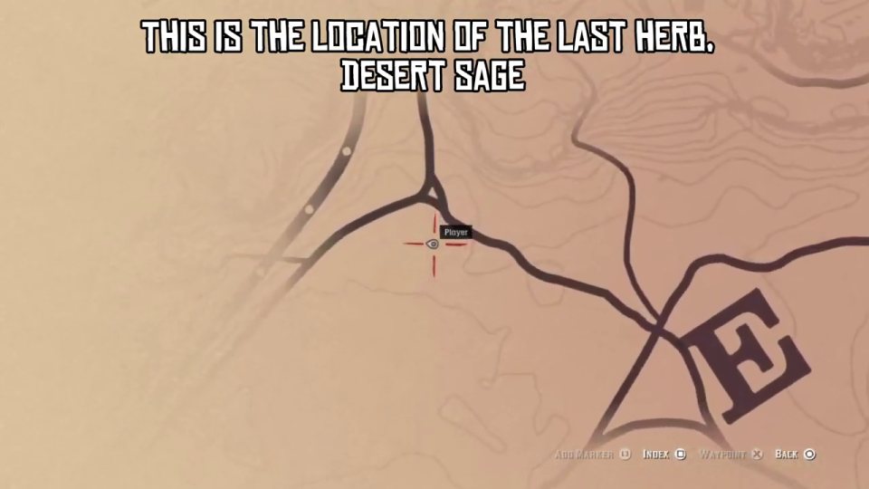 Desert sage - the last herb