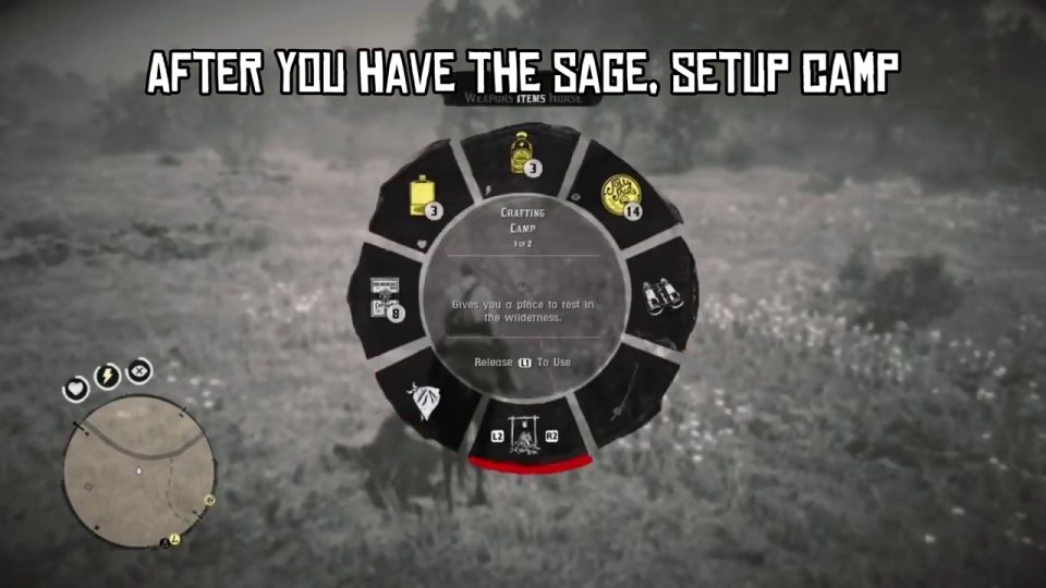 Set up camp and craft horse ointment