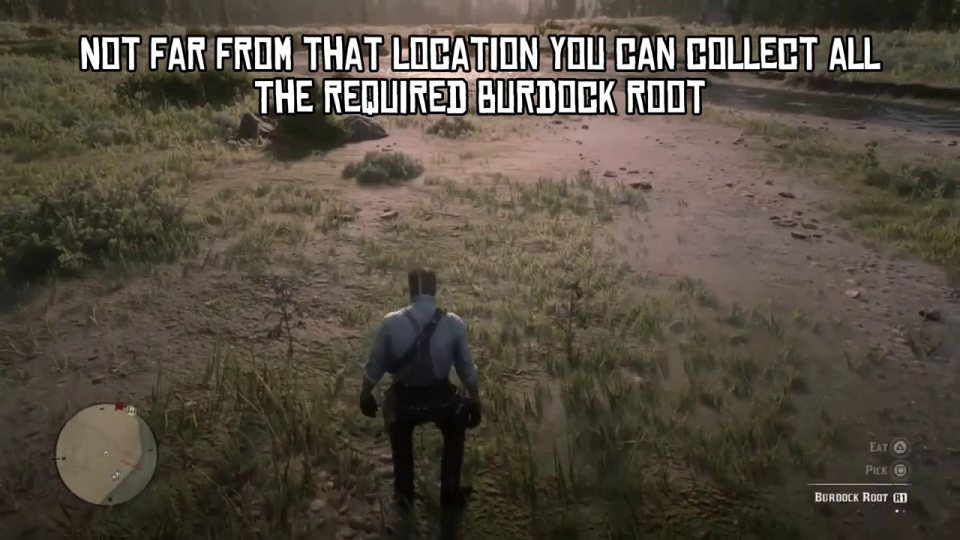 Pick 6 burdock root along the river