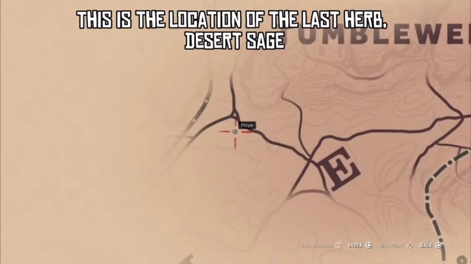Desert sage - the last herb