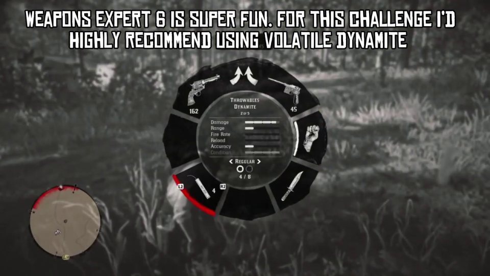 Weapons Expert 6: volatile dynamite on the campfire group
