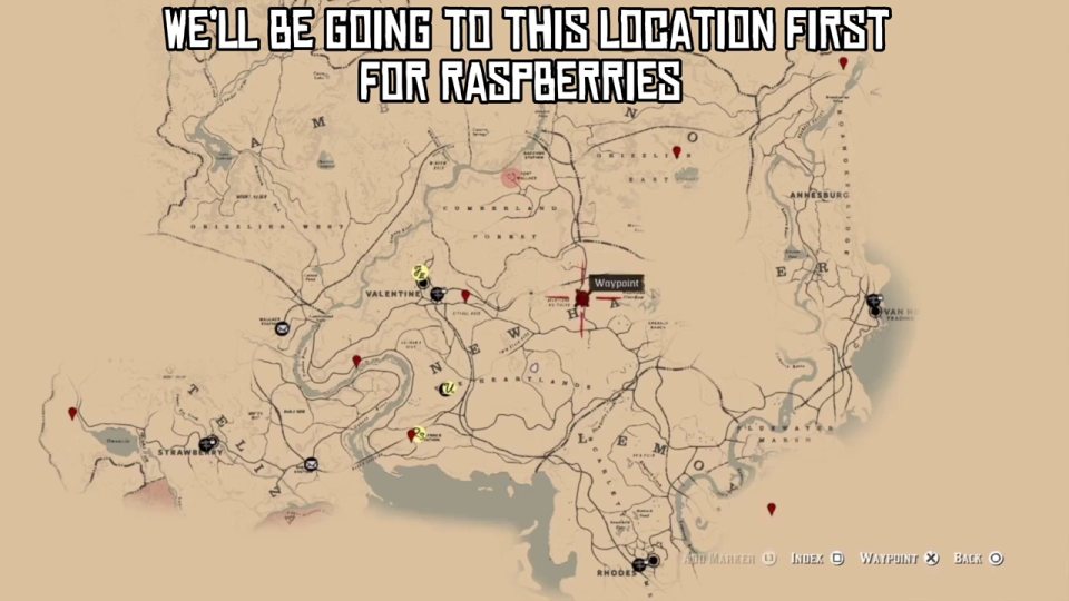 Herbalist 2: raspberries first
