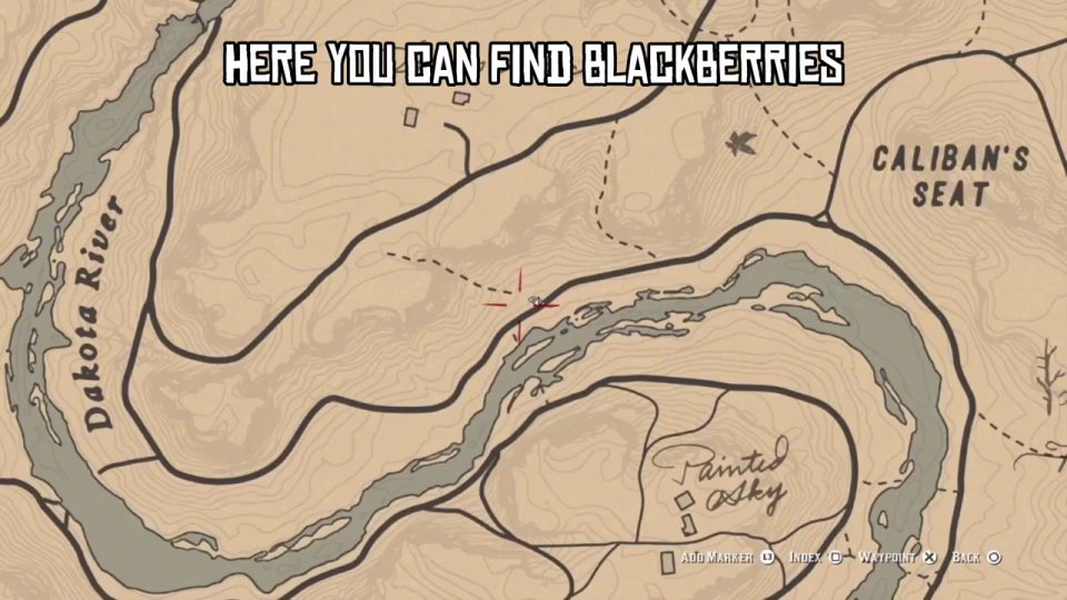 Blackberries