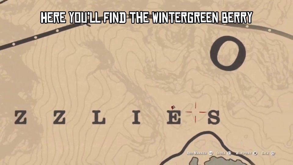 Wintergreen berry - on the ground