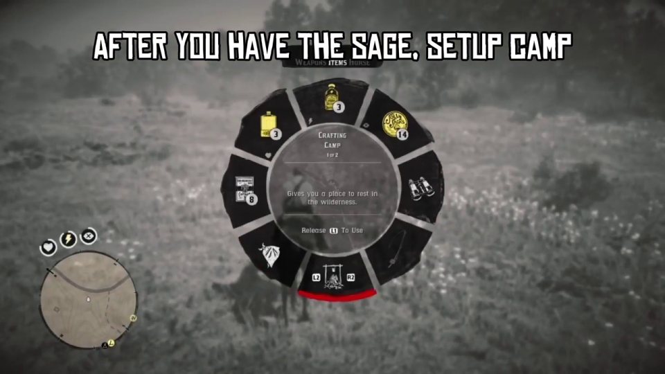 Set up camp and craft horse ointment