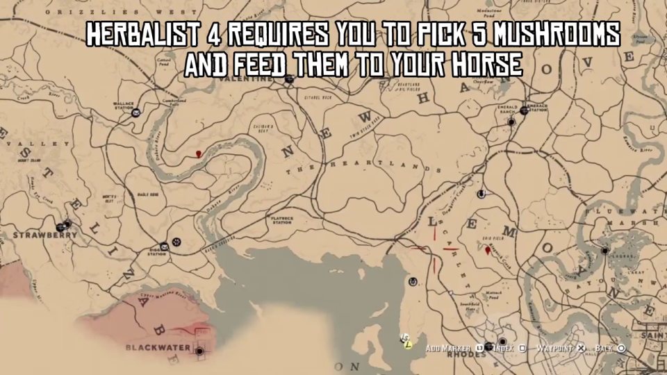Herbalist 4: pick 5 mushrooms