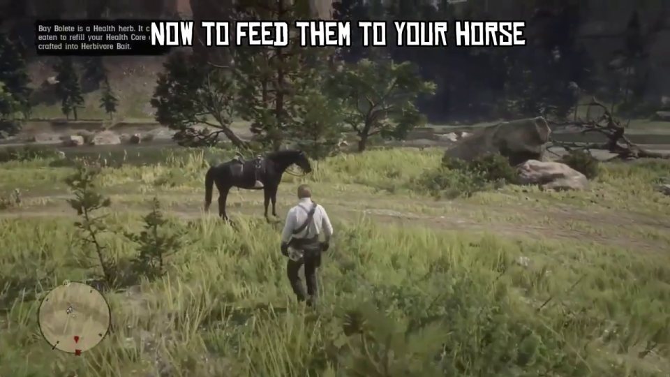 Feed them to your horse