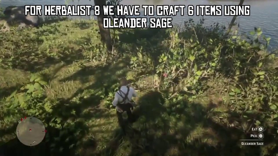 Herbalist 8: pick oleander sage