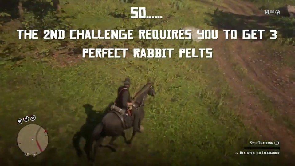 Master Hunter 2: 3 perfect rabbit pelts near Clemens Point