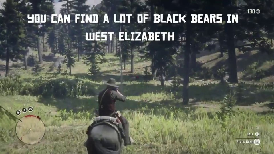 Master Hunter 5: black bears in West Elizabeth