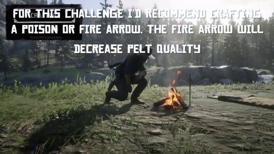 Master Hunter 6: craft poison arrows