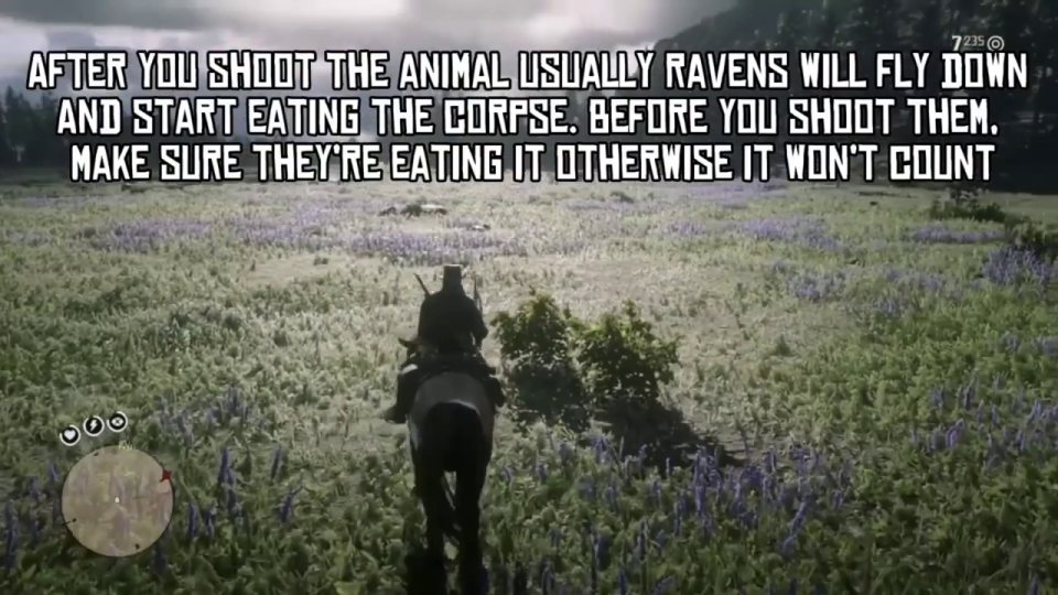 Shoot the ravens that land on the body