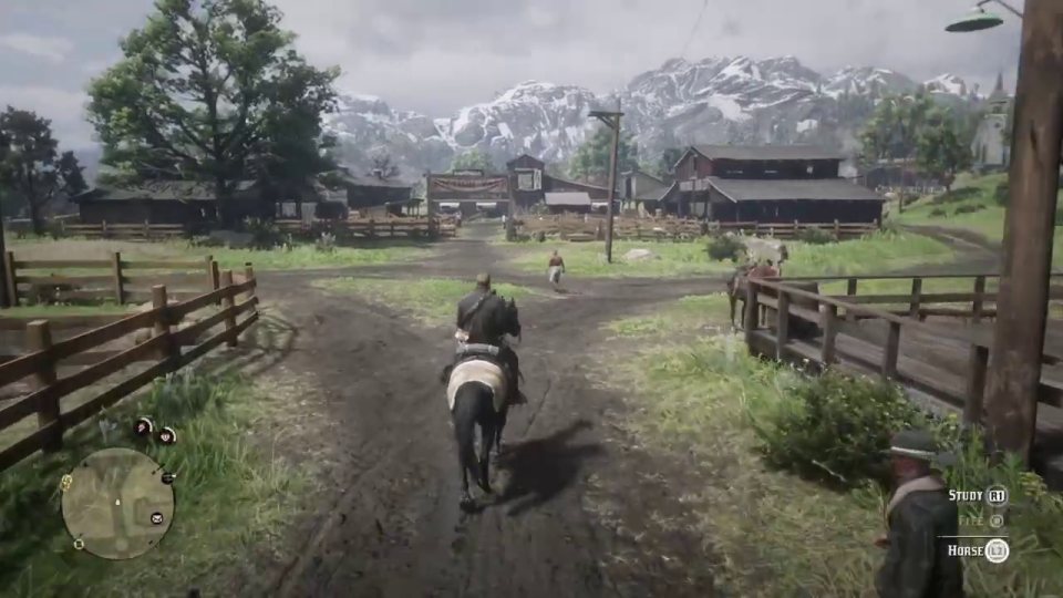Even the horses