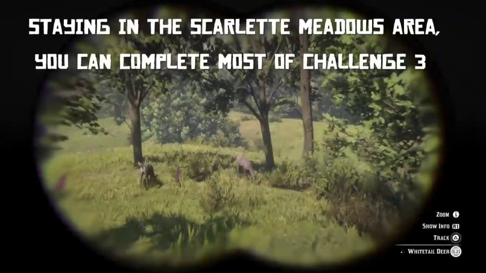 Master Hunter 3: track 10 species with binoculars