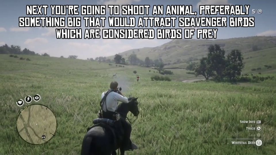 Shoot a deer, drag it off the road