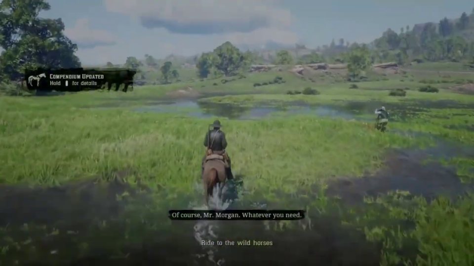 Herd the horses to his camera