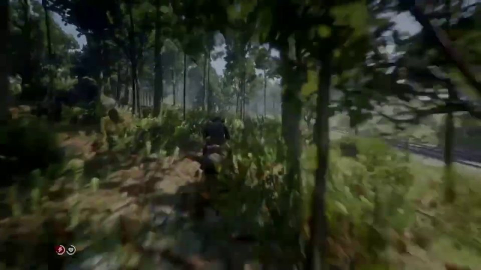 Catch up in the forest