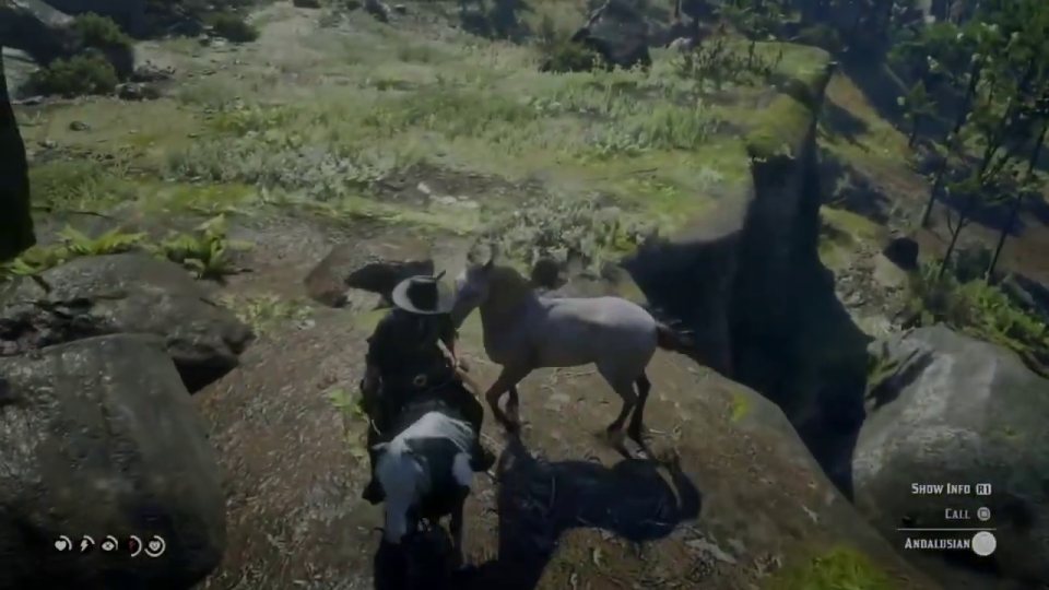 Mount and break him
