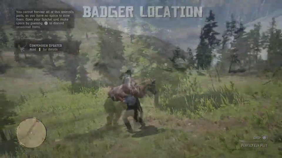 Badger