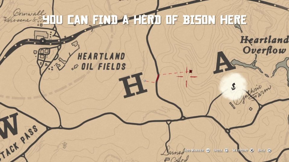 Bison herd by the Heartland Oil Fields